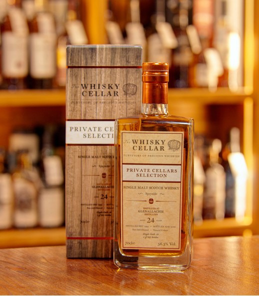 The Whisky Cellar GlenAllachie 24年