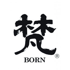梵 (7)