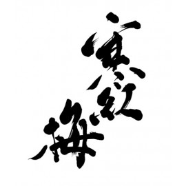 寒紅梅