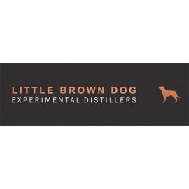 Little Brown Dog (4)